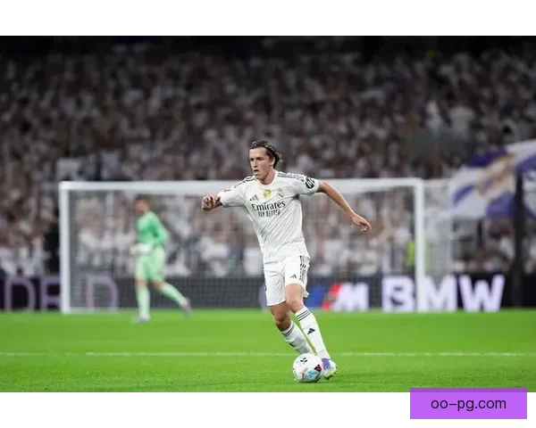 皇马百大赞助品牌揭秘背后的商业合作与全球影响力分析 皇马百大赞助品牌揭秘背后的商业合作与全球影响力分析